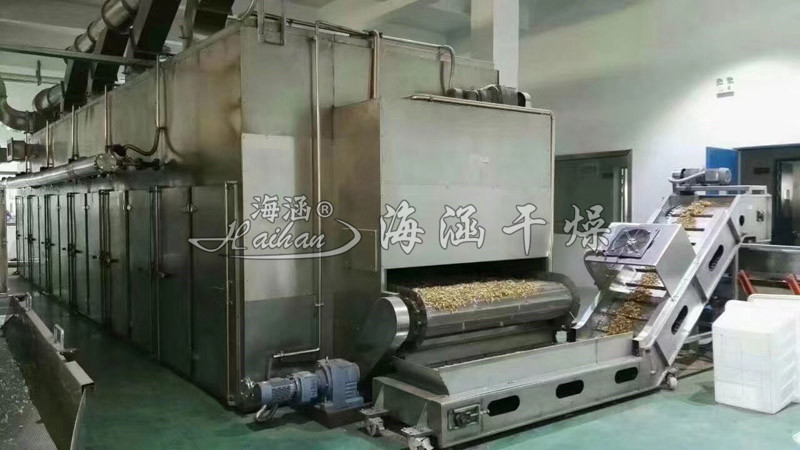 大蒜、辣椒、紅棗專(zhuān)用網(wǎng)帶式干燥機(jī)